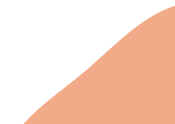 Decorative bottom vector